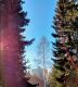 следующее фото