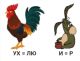 предыдушее фото