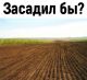 следующее фото