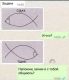 следующее фото