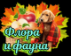 следующее фото