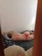 предыдушее фото