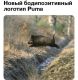 предыдушее фото