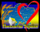 следующее фото