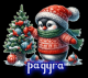 предыдушее фото