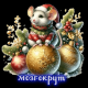 следующее фото