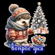 следующее фото