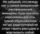 предыдушее фото