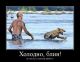 предыдушее фото
