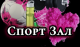 предыдушее фото