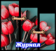 предыдушее фото