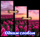 следующее фото