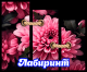 следующее фото