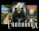 следующее фото