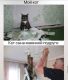 следующее фото