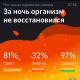 предыдушее фото