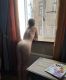 следующее фото