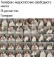 предыдушее фото