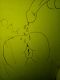 предыдушее фото
