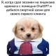 следующее фото