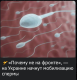 предыдушее фото