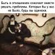 следующее фото
