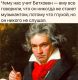 следующее фото