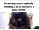 следующее фото