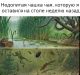 предыдушее фото