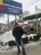 предыдушее фото