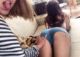 следующее фото