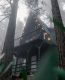 предыдушее фото