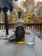 предыдушее фото
