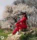 предыдушее фото