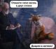 следующее фото