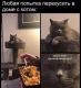 следующее фото