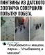 следующее фото