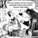следующее фото
