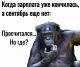 предыдушее фото