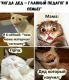 следующее фото