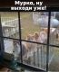 следующее фото