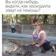 следующее фото
