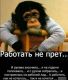 следующее фото