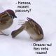 следующее фото