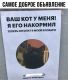 предыдушее фото