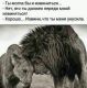 предыдушее фото