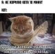 предыдушее фото