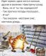 следующее фото