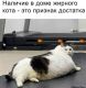 следующее фото