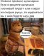 предыдушее фото